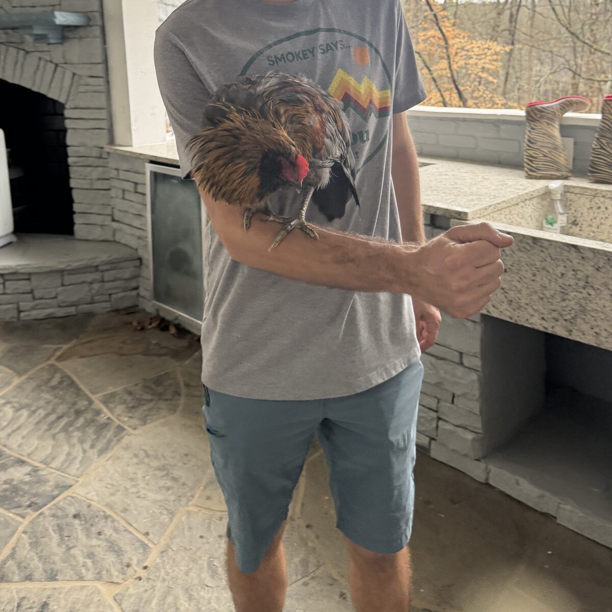 Holding a rooster on the porch